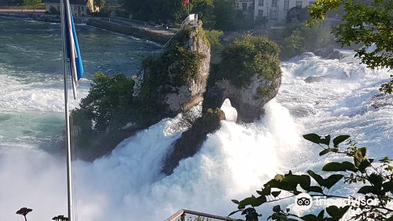 Halbtägige Tour zum Rheinfall in der Schweiz|Europas größter Wasserfall|Die Grand Tour bietet wunderschöne Landschaften