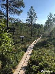 Parc national de Puurijärvi-Isosuo