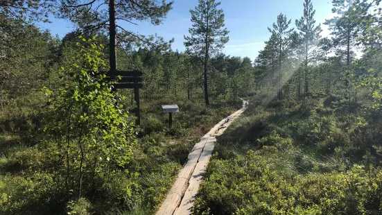 Puurijärvi-Isosuo National Park