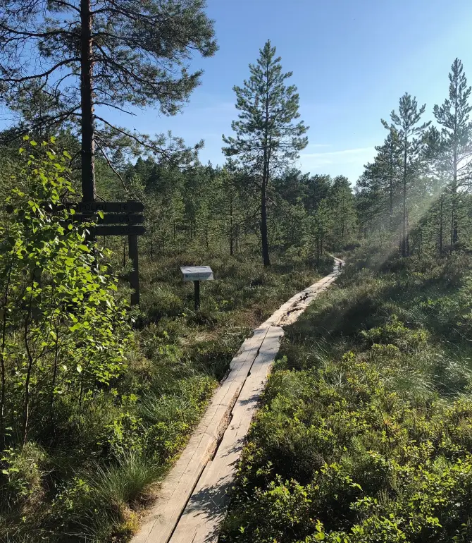 Huittinen
