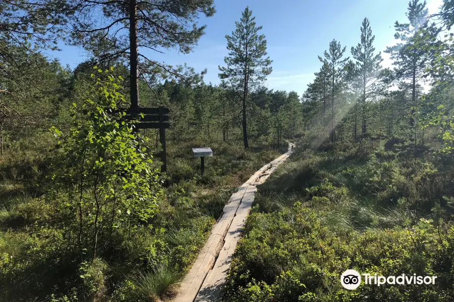 Puurijärvi-Isosuo National Park