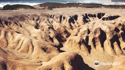 Pescadero Marsh Natural Preserve