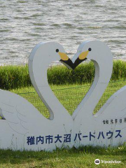 Onuma Bird House