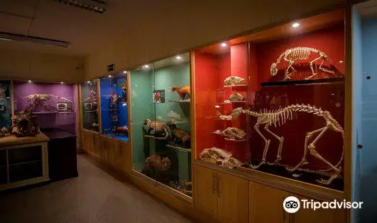 Trinity College Zoological Museum