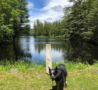 Lowell Lake State Park