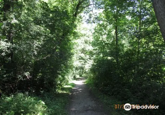 Lime Creek Nature Center