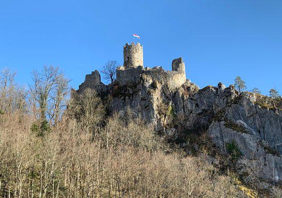 Neu-Falkenstein Castle