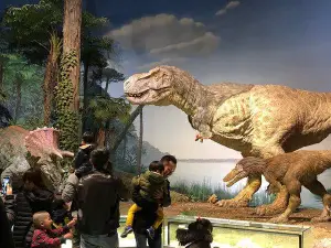 Ibaraki Nature Museum Park