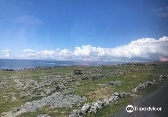 Beauty Of The Burren Walks