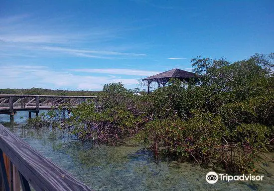 Bonefish Pond National Park