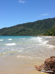 Cow Bay Beach