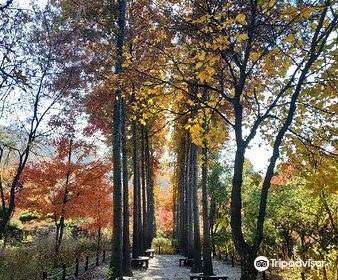 Hantaek Botanical Garden