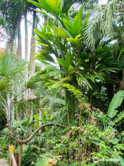 Flora Tropica Botanical Gardens