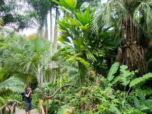 Flora Tropica Botanical Gardens