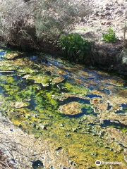 Paralana Radioactive Hot Springs