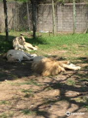 イースト・ロンドン動物園