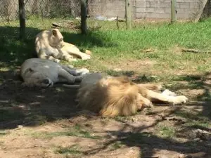 イースト・ロンドン動物園