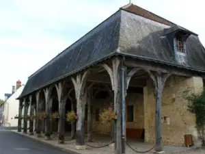 Château de Montrésor