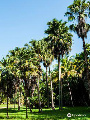 Jardin Botanico de Cupaynicu