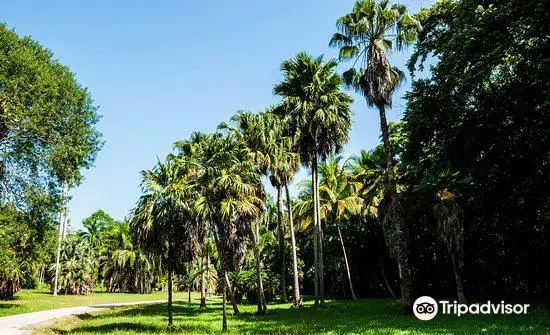 Jardin Botanico de Cupaynicu