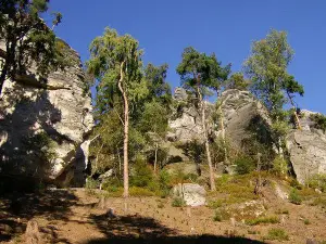 Prachov Rocks