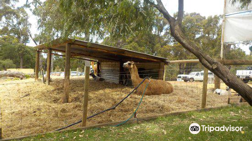 Country Life Farm Dunsborough