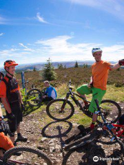 Ridelines Mountain Biking