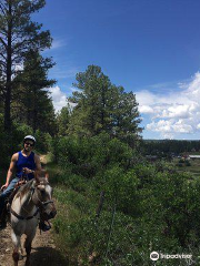 Pagosa Land and Cattle/Diamond Hitch Stables