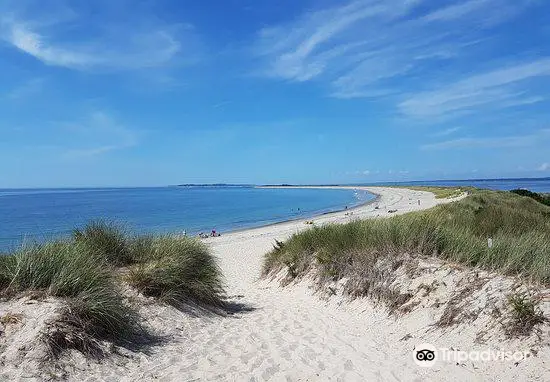 Napatree Point Conservation Area