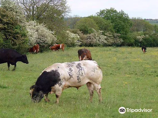 Greystones Farm Nature Reserve