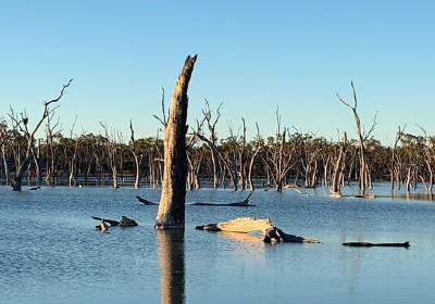 Lara Wetlands