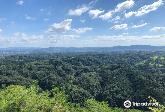Minokamo Health Forest