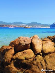 Cannery Beaches