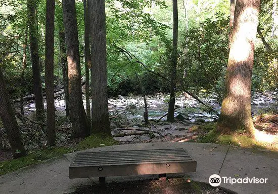 Sugarlands Valley Nature Trail