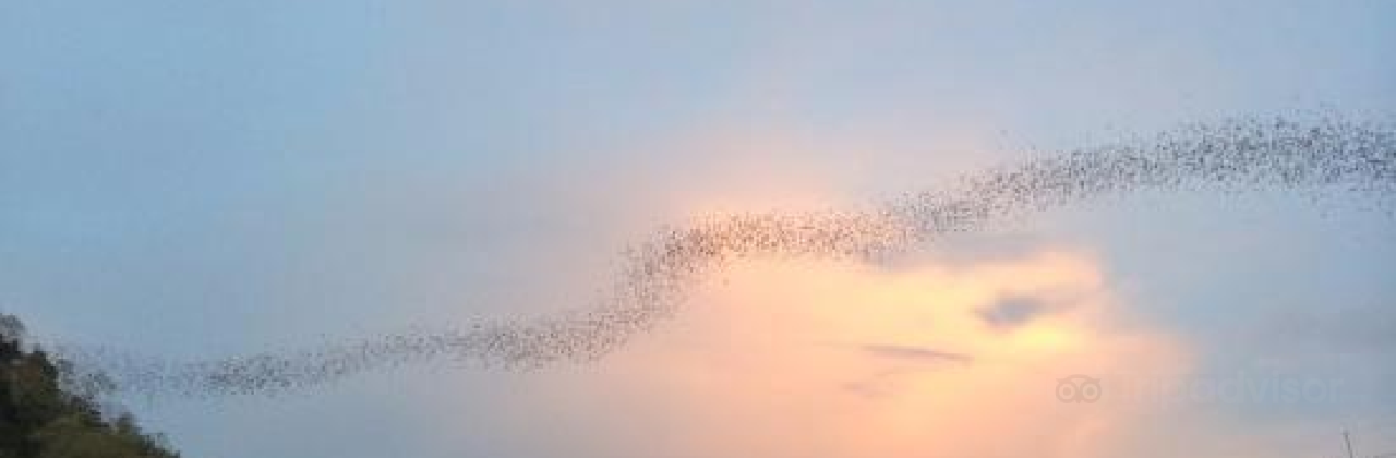 Jurgis ir Drakonas Akropolio