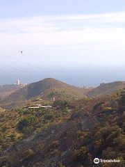 Mirador de Juanar - Macho Montés