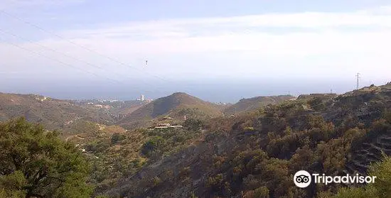 Mirador de Juanar - Macho Montés