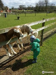 Paradise Found Educational Farm Park