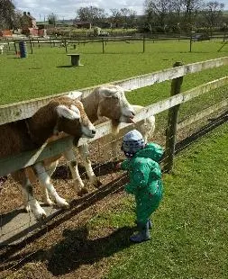 Paradise Found Educational Farm Park