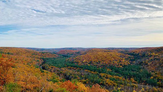 American Legion State Forest