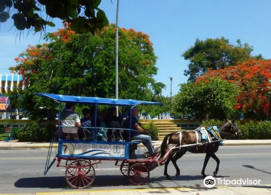 Parque Central