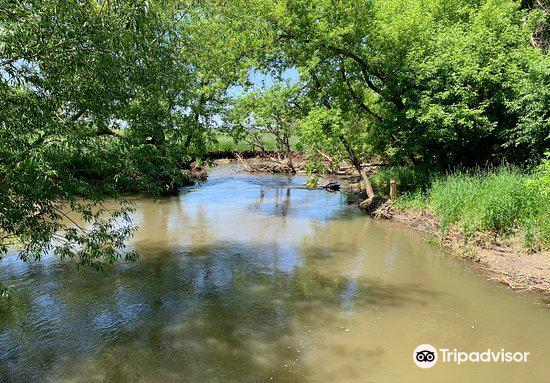 Plum Creek