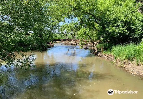 Plum Creek