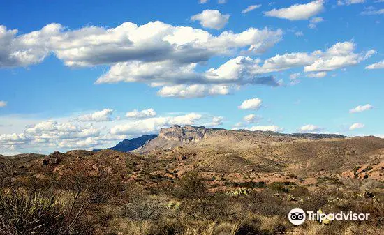 Muleshoe Ranch Cooperative Management Area