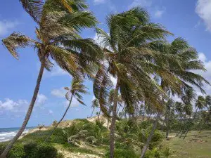 Massarandupió Beach