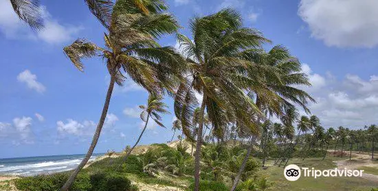 Massarandupió Beach