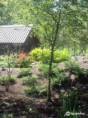 Forest Arboretum of Warmia i Mazur