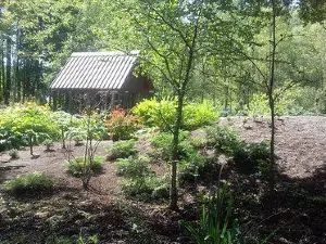 Forest Arboretum of Warmia i Mazur