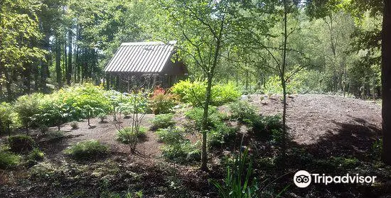 Forest Arboretum of Warmia i Mazur