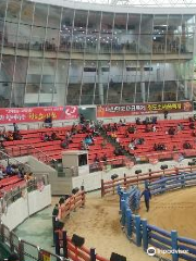 Cheongdo Bullfighting Stadium